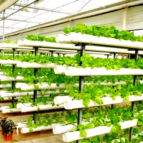 Outdoor Hydroponic Tower Grow  - Hydroponic Tower recension och pris