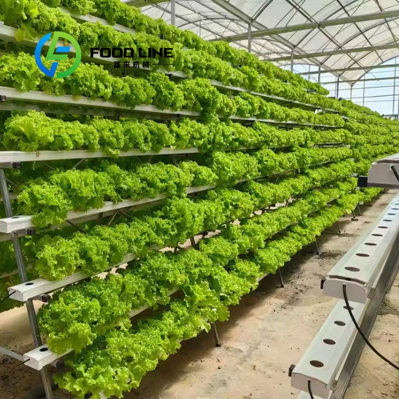 Smart Hydroponics 20Ft/40Ft Sh - Hydroponic Tower recension och pris