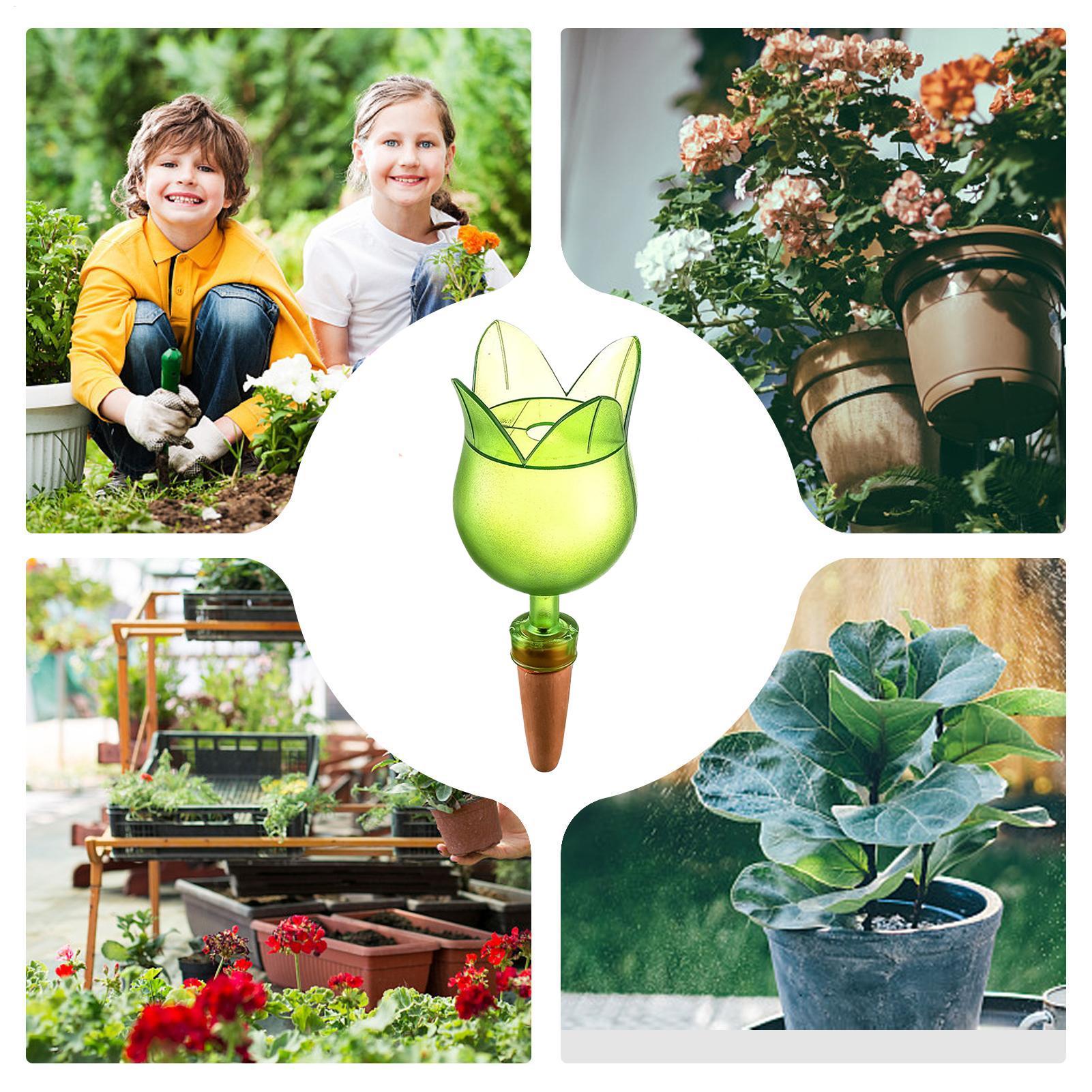 Plant Self Watering Devices Pl - Self Watering Planter recension och pris