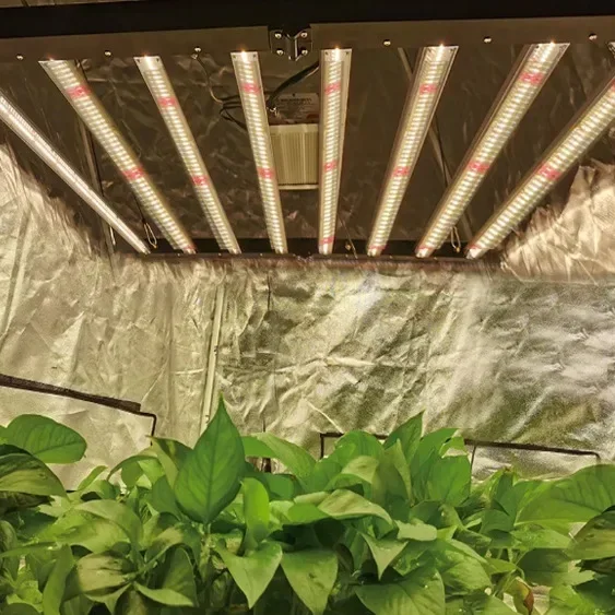 Hot sales Greenhouse Plant Lam - Plant Grow Light Full Spectrum recension och pris