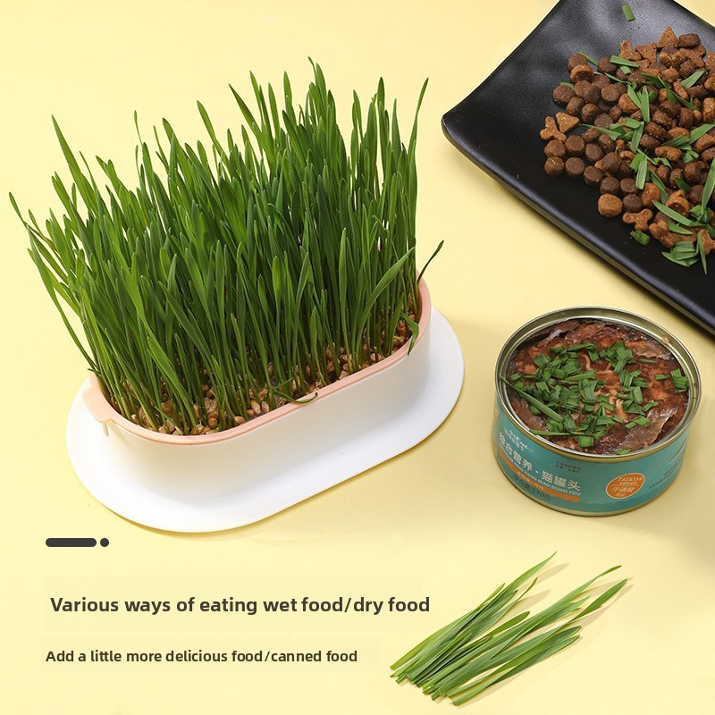 Pet Supplies Cat Snacks Cat Pl - Hydroponic Grow Pod recension och pris