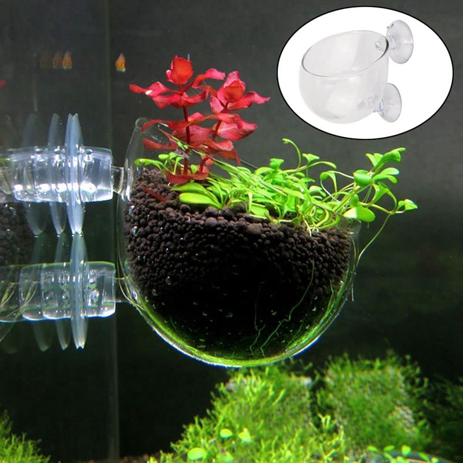 Aquatic Plant Pot Clear Acryli - Hydroponic Grow Pod recension och pris