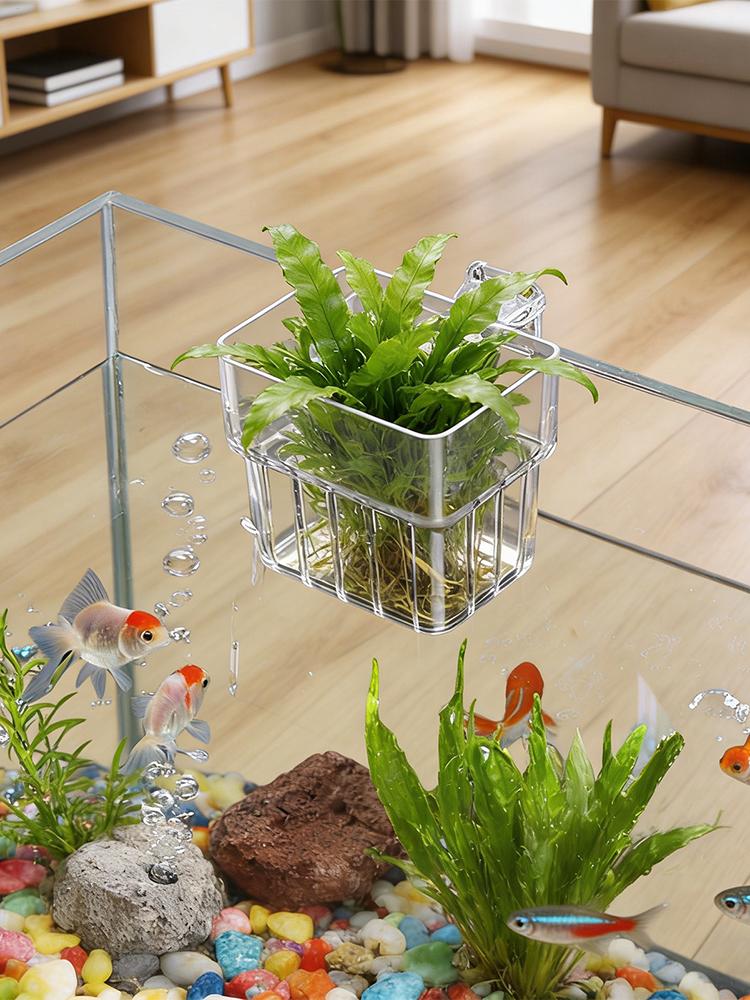 Aquarium Plant Holder Transpar - Hydroponic Grow Pod recension och pris