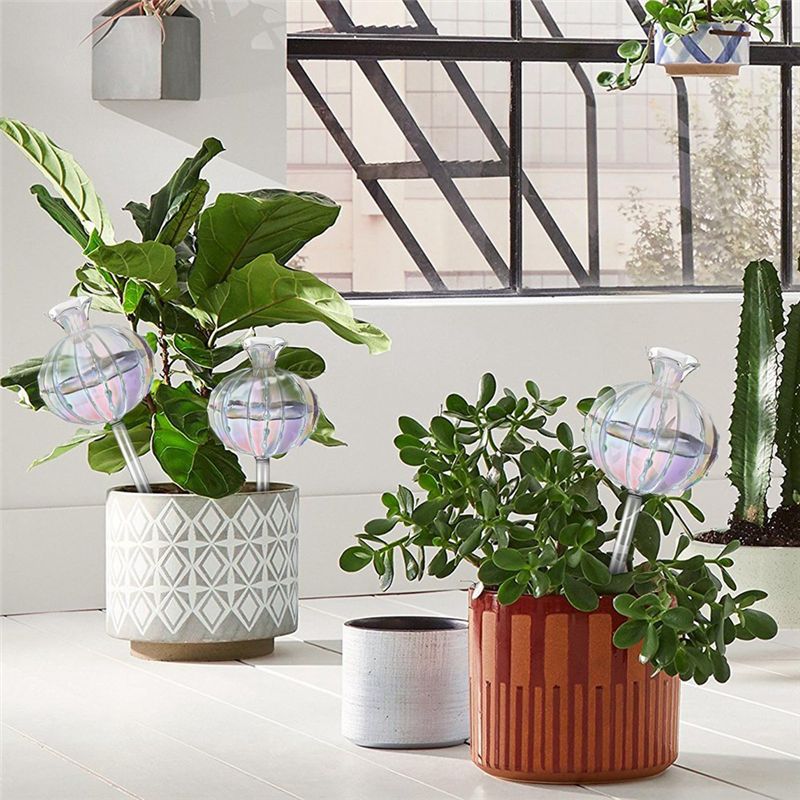 AA94-Plant Watering Bulbs Plan - Self Watering Planter recension och pris